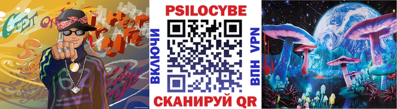 купить наркотик  Холм  blacksprut зеркало  Галлюциногенные грибы Psilocybine cubensis 